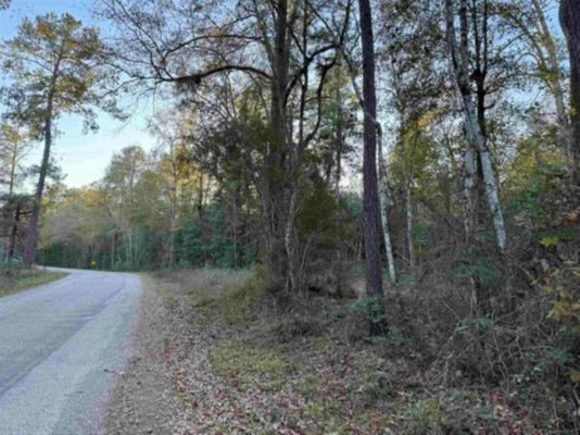 000 COUNTY ROAD 443, KIRBYVILLE, TX 75956 - Image 1