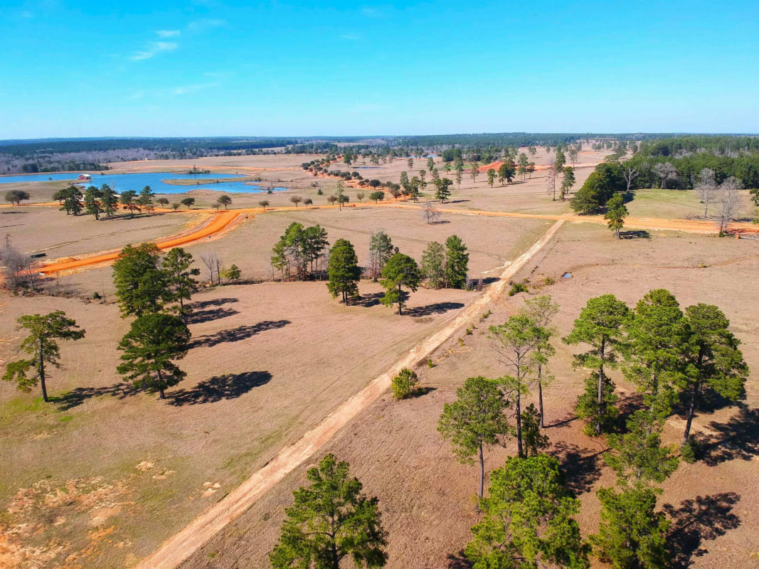 TBD LAKELAND LOOP LOT 85, HILLISTER, TX 77624, photo 1 of 30