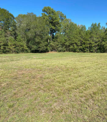 171 COUNTY ROAD 4670, FRED, TX 77616 - Image 1