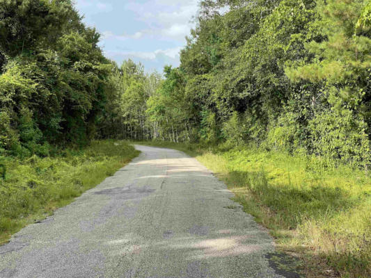 TRACT 2 COUNTY ROAD 786, BUNA, TX 77612, photo 2 of 7